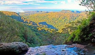 Koonjewarre, right next to the Gondwana Rainforests of Australia