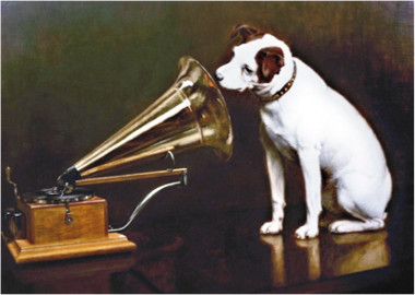 Dog listening to old gramophone speaker