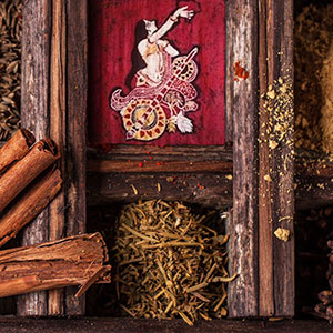 The Wisdom of Self Care Ayurveda