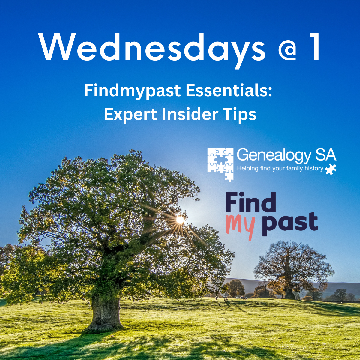 A sunny landscape with a tree. Text: Wednesdays @ 1, Find my past expert insider tips.