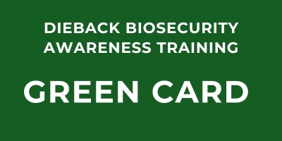 Green Card