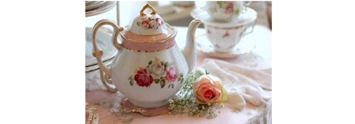 joncatania Hero Image