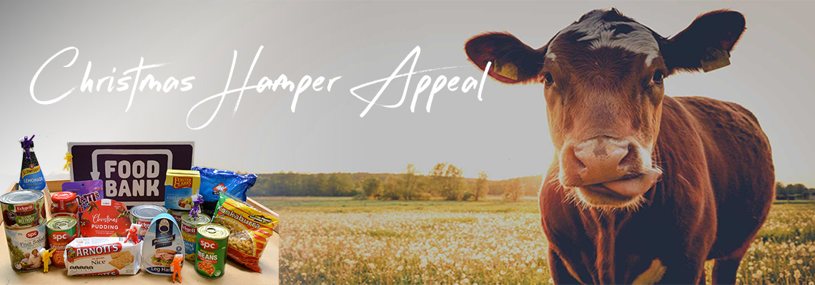 hamperappeal Hero Image