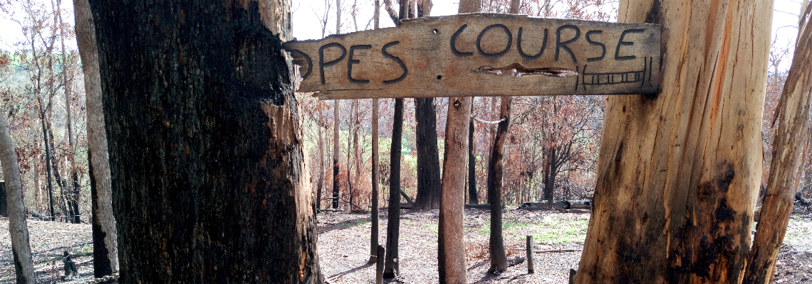 yr12runningwildrun Hero Image