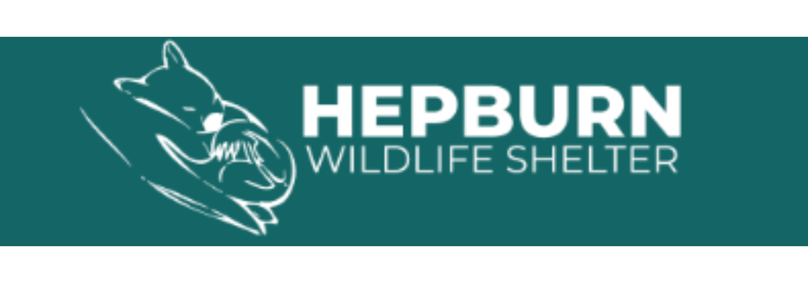 hepburnwildlife Hero Image