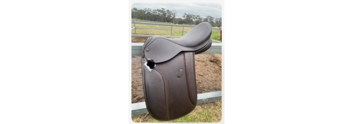 serenandharryworlds Hero Image