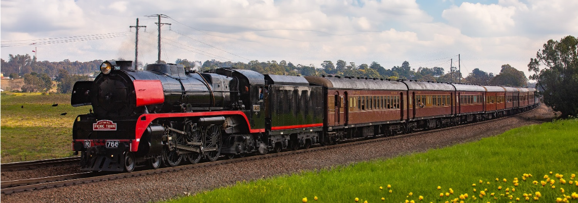 picnictrain Hero Image