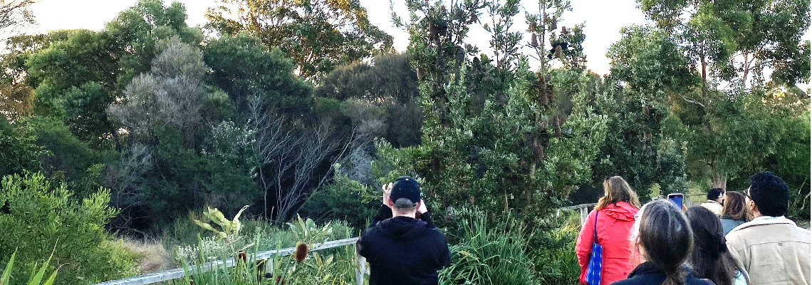 faithecologynetwork Hero Image