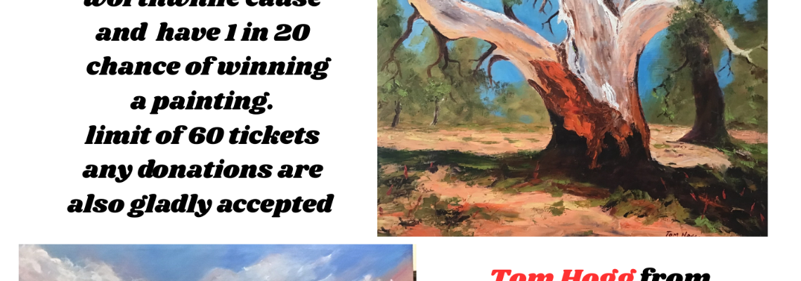 wwwdrseniorshubcom Hero Image