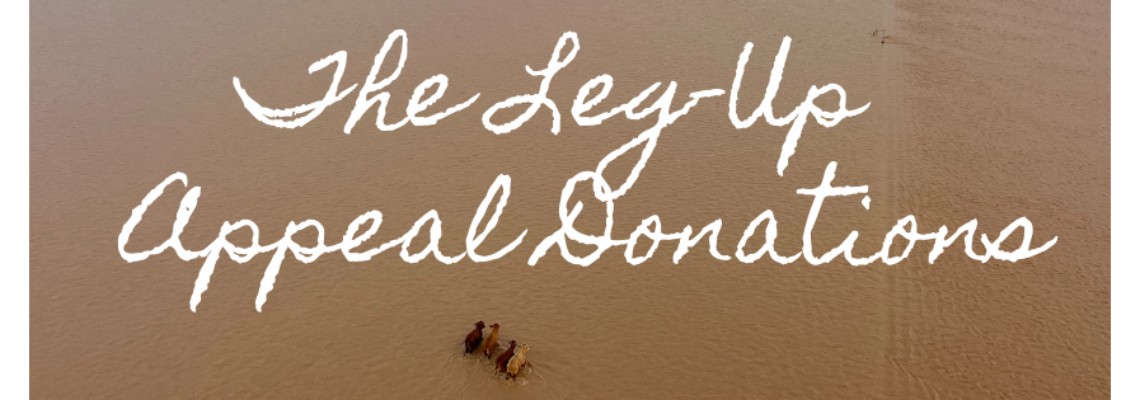 ashofdonations Hero Image