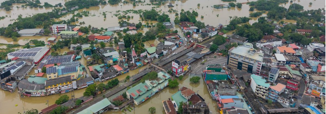 matesvision Hero Image