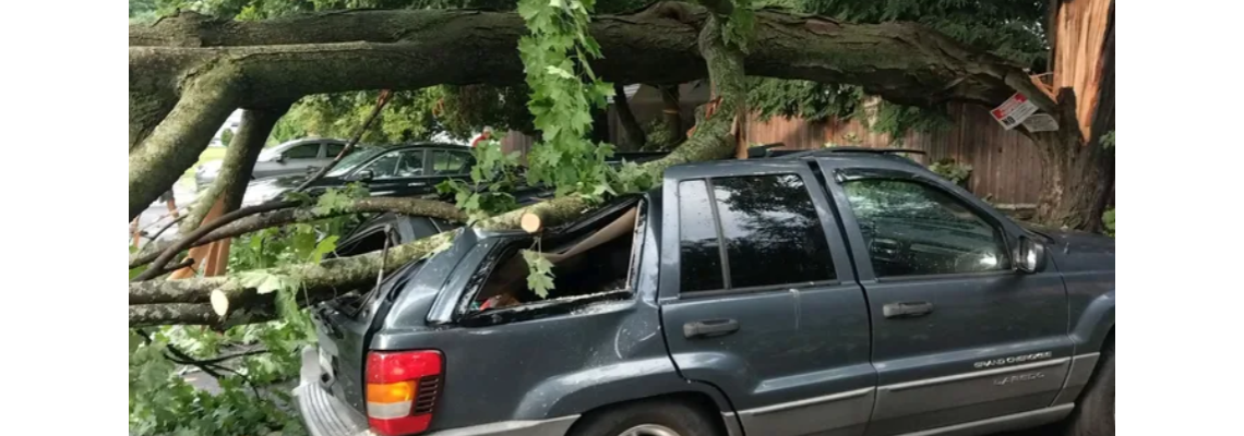 vincebrock Hero Image