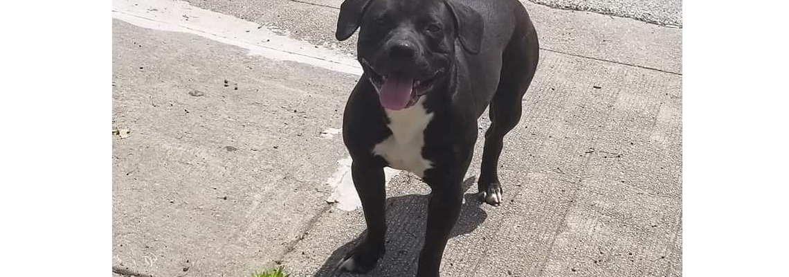 helpingfoundation Hero Image