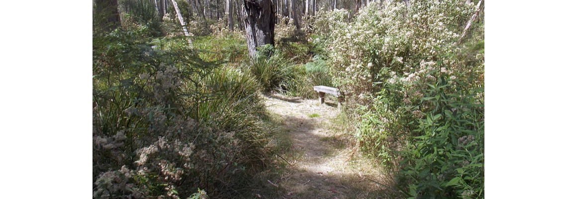 nrgbirribi Hero Image