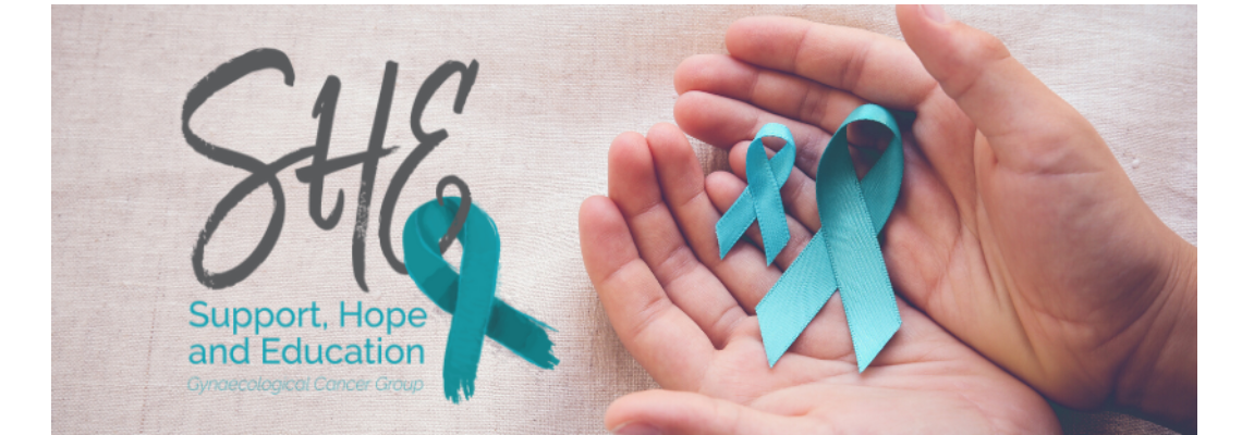 shegynaetas Hero Image