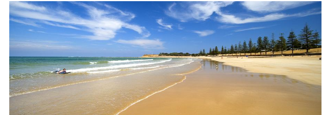 torquayrotary Hero Image