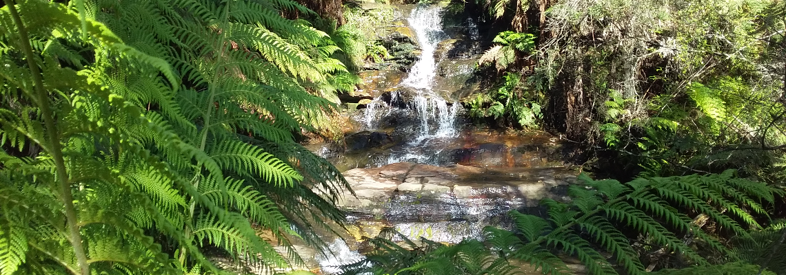 globalhealing Hero Image