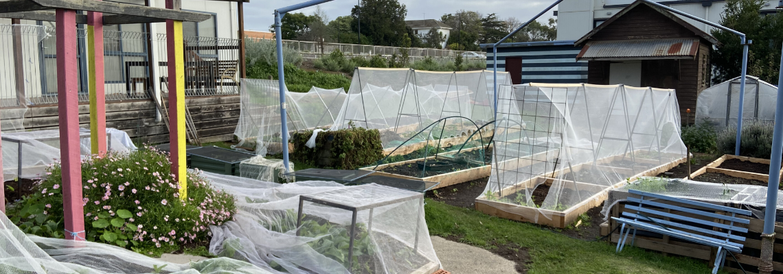 communitygarden Hero Image