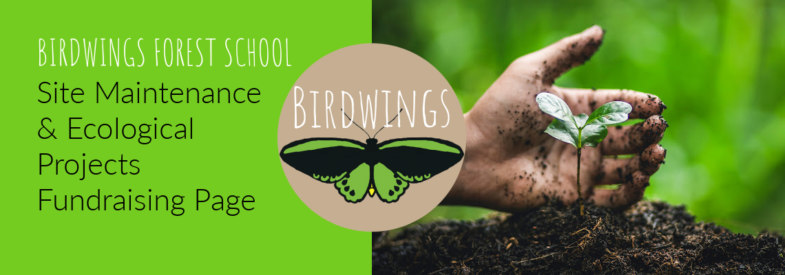 birdwingsfundraising Hero Image