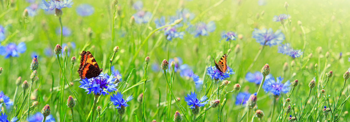 madonnamagazine Hero Image