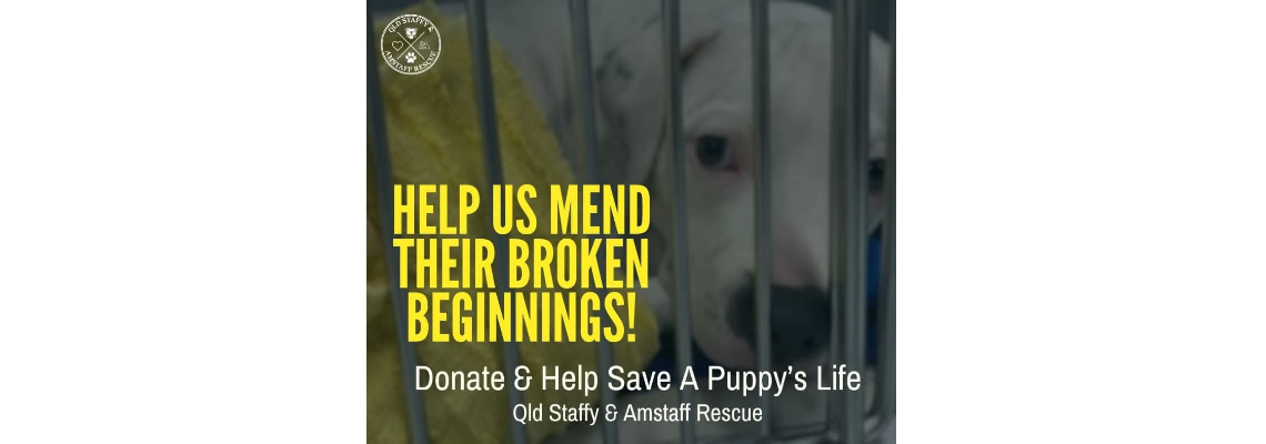 threepuppies Hero Image