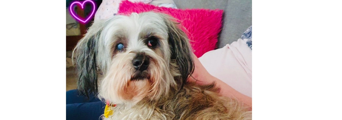 luluseyesurgery Hero Image