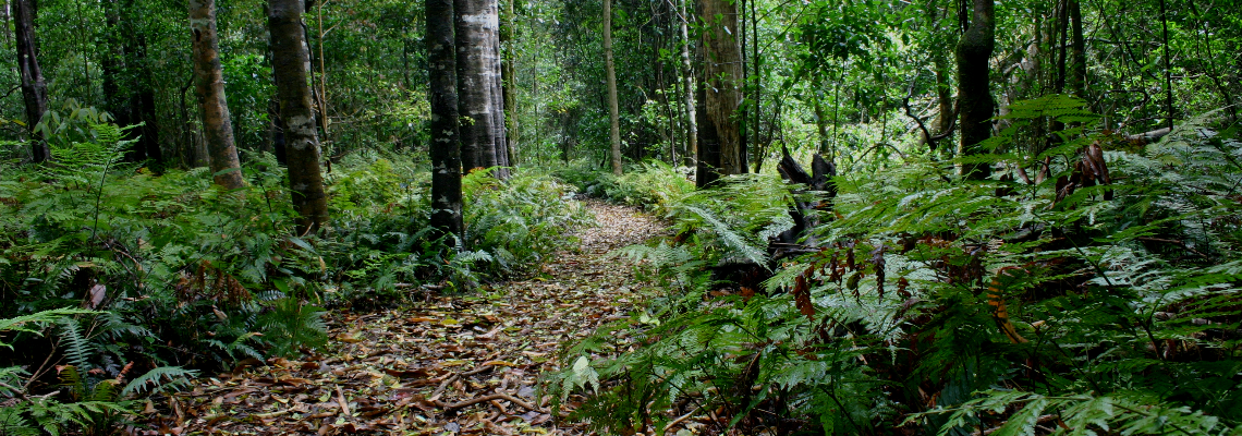 bmcaicomctr Hero Image