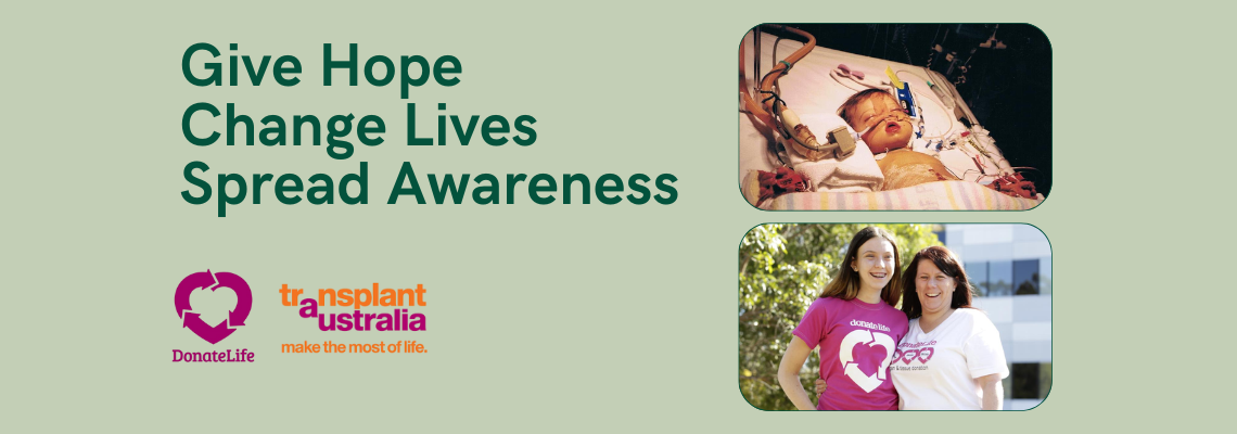 thesteelefoundation Hero Image