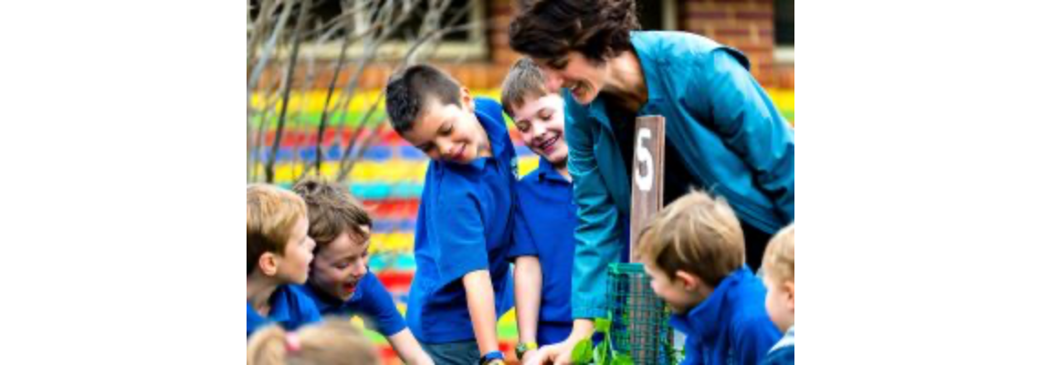 rosaliepc Hero Image