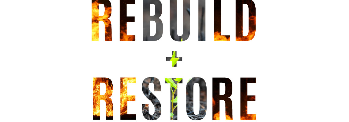 rebuildandrestore Hero Image