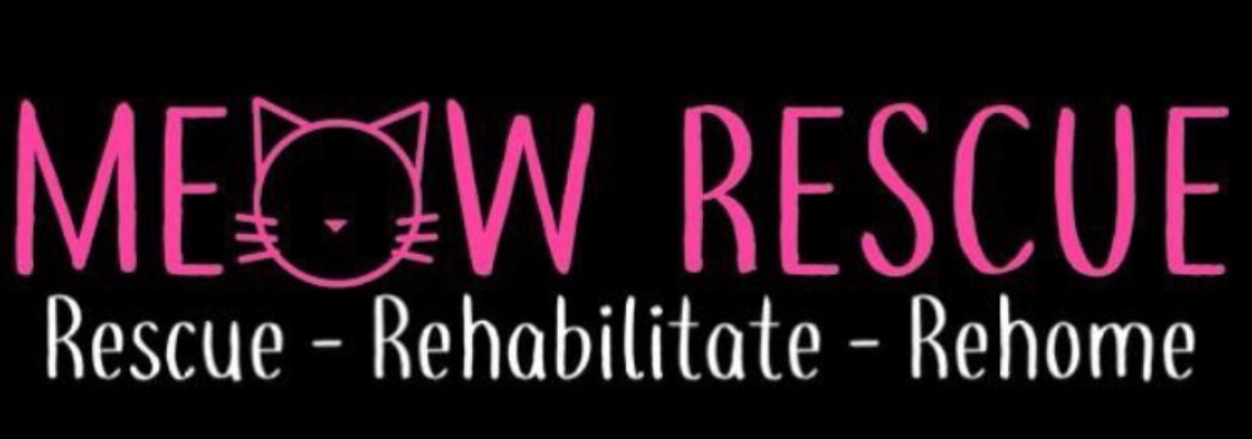 fixingkayescar Hero Image