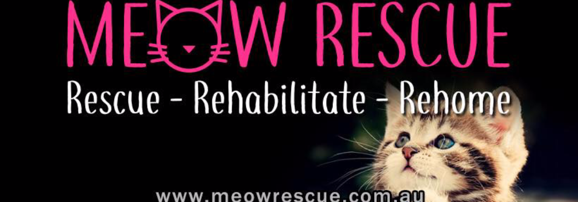 assisteddesexing Hero Image