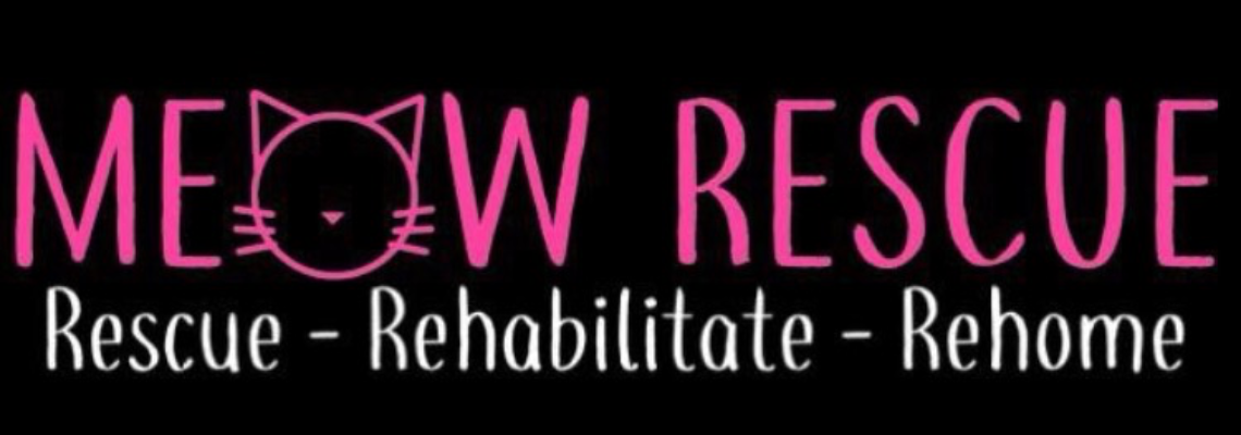 inhonorofalovedone Hero Image