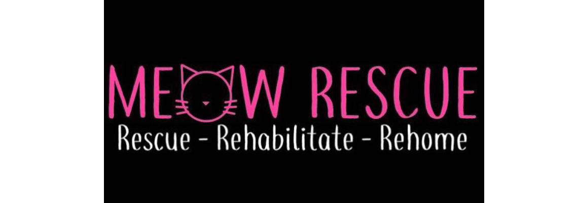 frankstonforeshore Hero Image