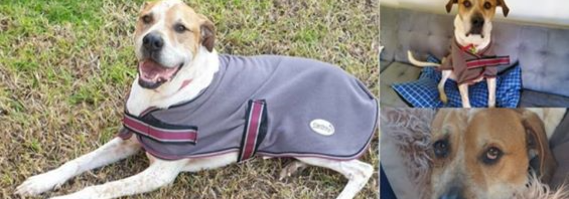 odinneedssurgery Hero Image