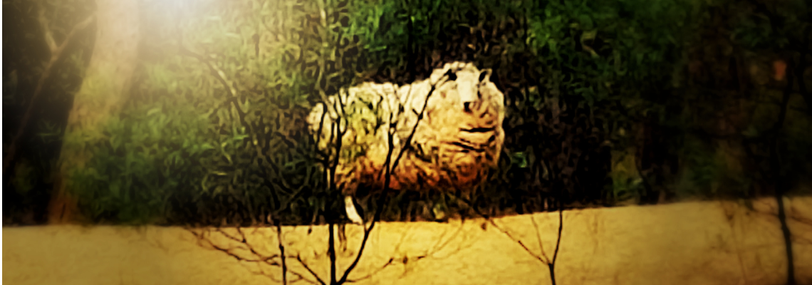 honeyspledge Hero Image