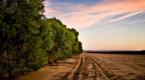 footer_image