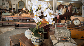 footer_image