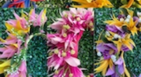 footer_image