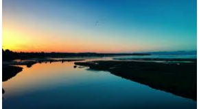 footer_image