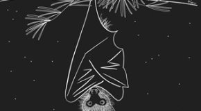 footer_image