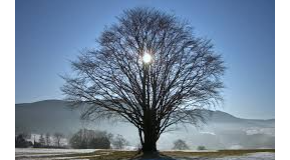 footer_image
