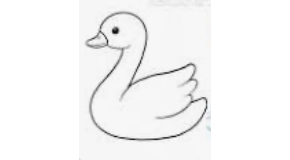 footer_image
