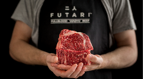 footer_image