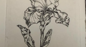 footer_image
