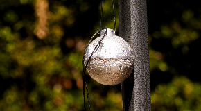 footer_image