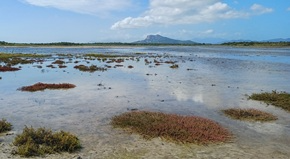 footer_image