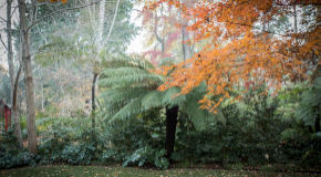 footer_image