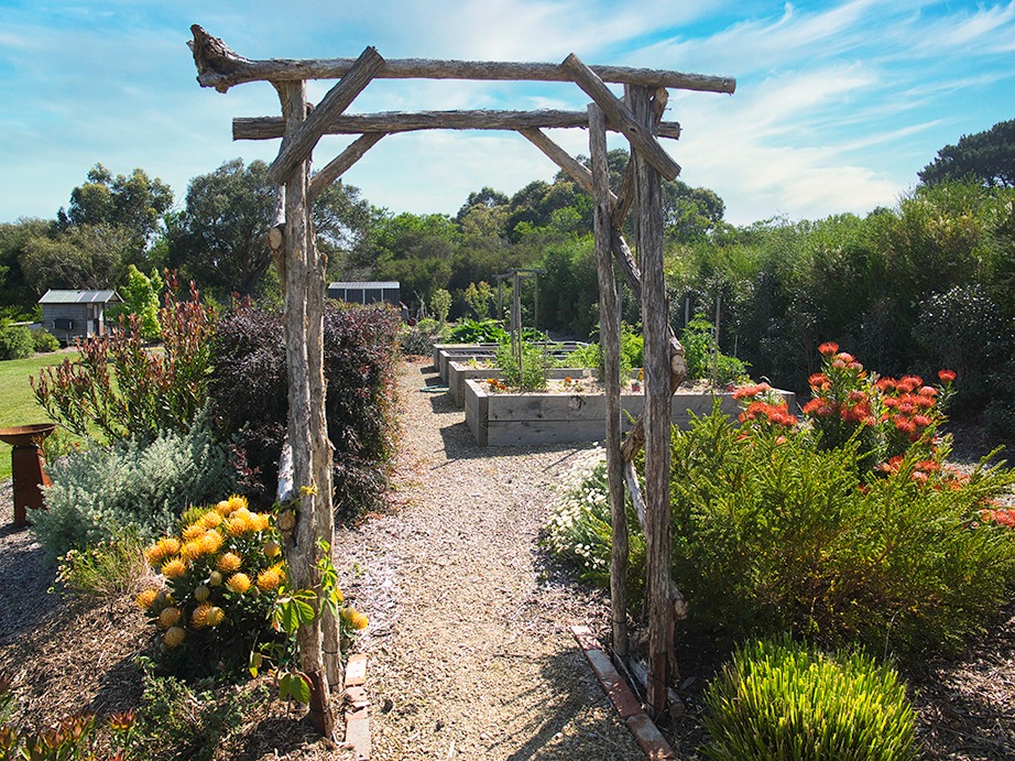 Open Gardens Victoria Sue's Garden 2024 Tickets, Open Gardens