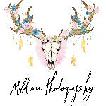 host icon